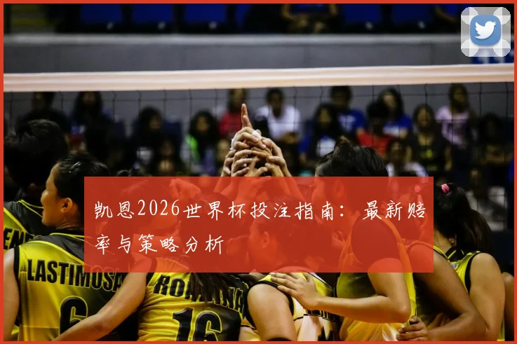 凯恩2026世界杯投注指南：最新赔率与策略分析